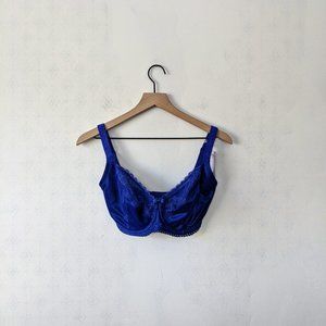 NWT Pour Moi? UK 30GG Blue Lace Bra